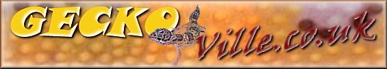 Geckoville.co.uk run by Wayne a private breeder of some great leopard gecko's