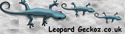 New Leo site, run my Evonne,  featuring care sheets, available section and an article dedicated to breeding.