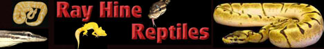 Ray hine; In the business of breeding reptiles for over 25 years.